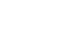 Brainy Bears